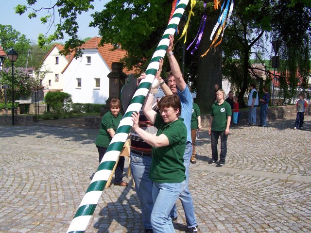 Die Schrebitzer beim Maibaum-Aufstellen Maibaum Aufstellen